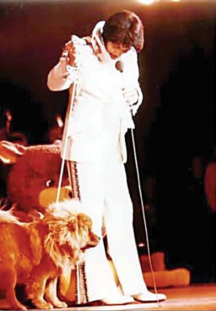 elvis_presley_dog_1.jpg