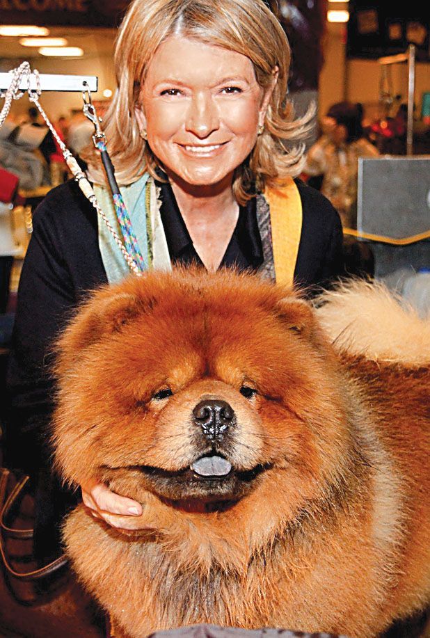 martha-stewart-chow-chow.jpg