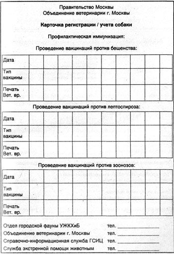 бланки в пмр бланки в пмр