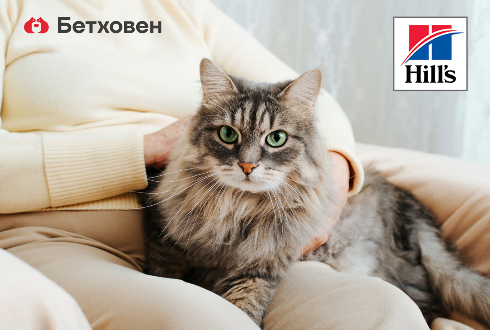 Секреты долголетия кошки