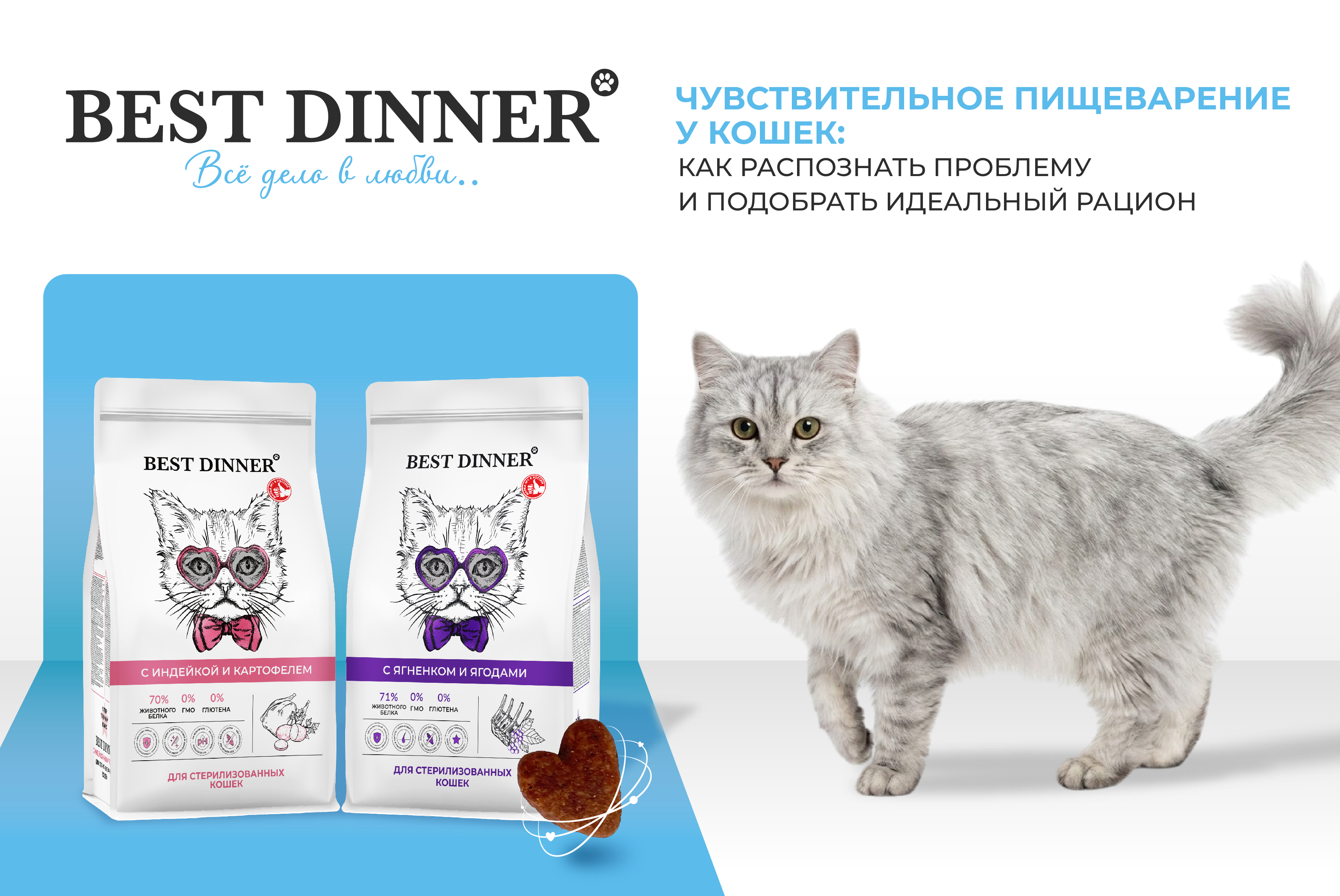 Чувствительное пищеварение у кошек: как распознать проблему и подобрать правильный корм.