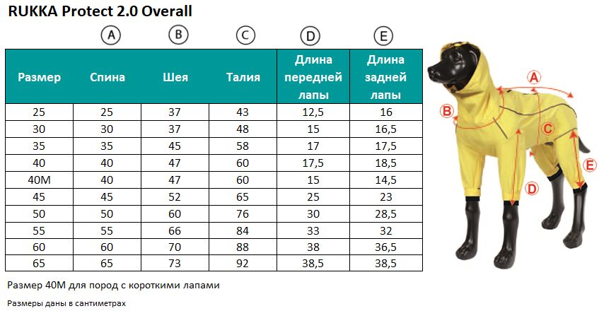 Таблица размеров для собак