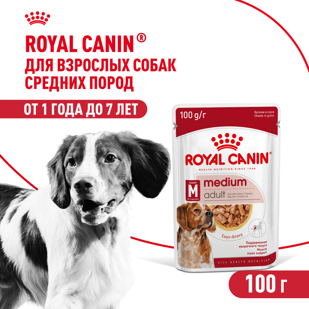 Корм для собак ROYAL CANIN Medium для средних пород, кусочки в соусе пауч 100г