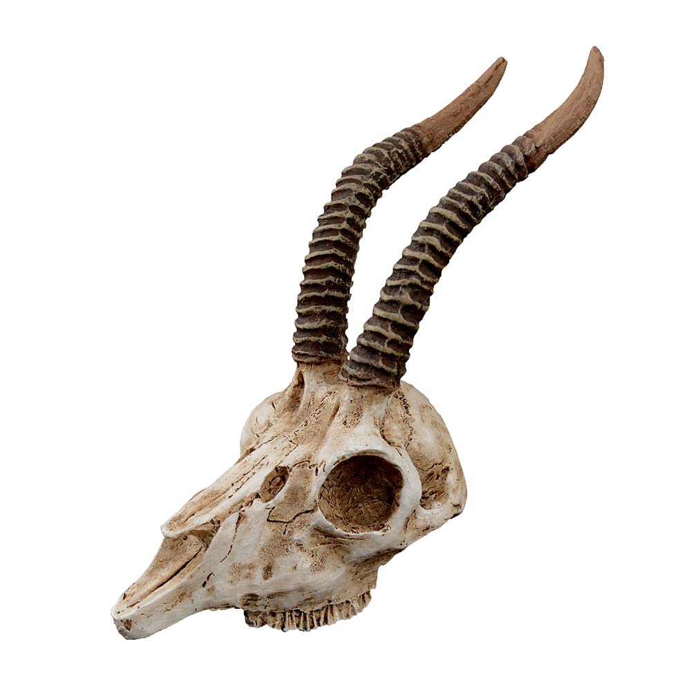 Декор для аквариумов GLOXY Череп антилопы 19х6х7см 939₽