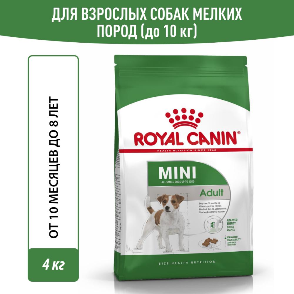 Корм для собак ROYAL CANIN Mini Adult для мелких пород от 10 месяцев сух. 4кг корм для собак royal canin size maxi adult 5 для крупных пород старше 5 лет сух 4кг