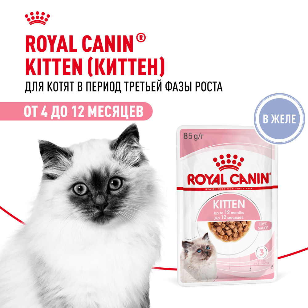 Корм для котят ROYAL CANIN в период второй фазы роста мясо в желе пауч 85г 109₽