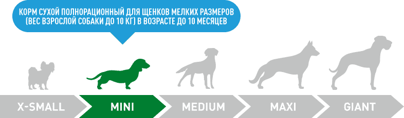 dogs