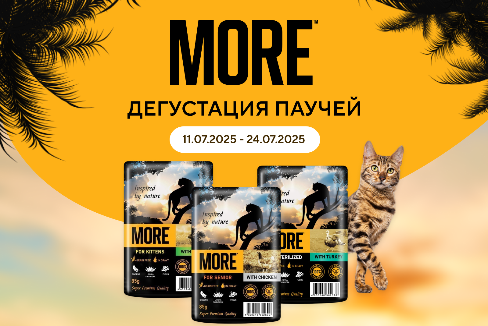 Дегустация влажных кормов для кошек MORE