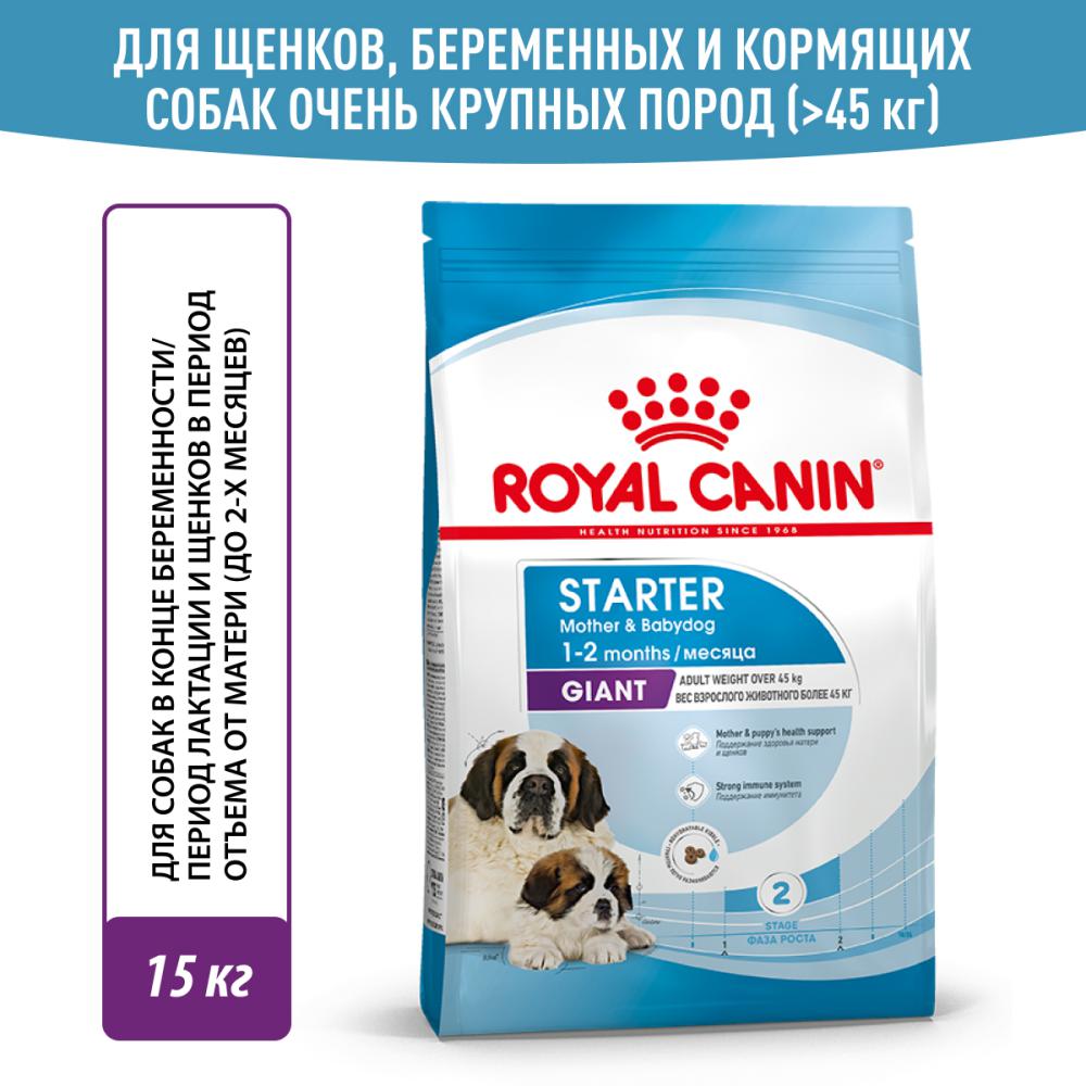 Корм для собак ROYAL CANIN Size Giant Starter для щенков до 2 месяцев,беременных и кормящих сук гиганских пород от 45кг сух. 15кг royal canin корм royal canin для щенков средних пород от 3 недель до 2 месяцев беременных и кормящих сук 12 кг