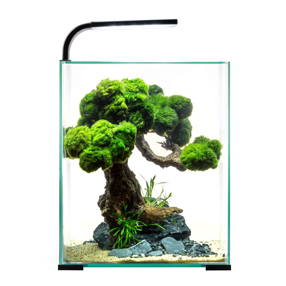 Аквариум AQUAEL Shrimp Set Smart LED D/N 10/10л черный, 20х20х25см аквариум aquael aqua4 family 80 day