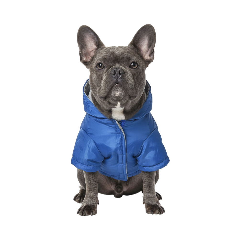 Куртка для собак Foxie Heldi синяя с капюшоном р S длина спины 30см 399₽