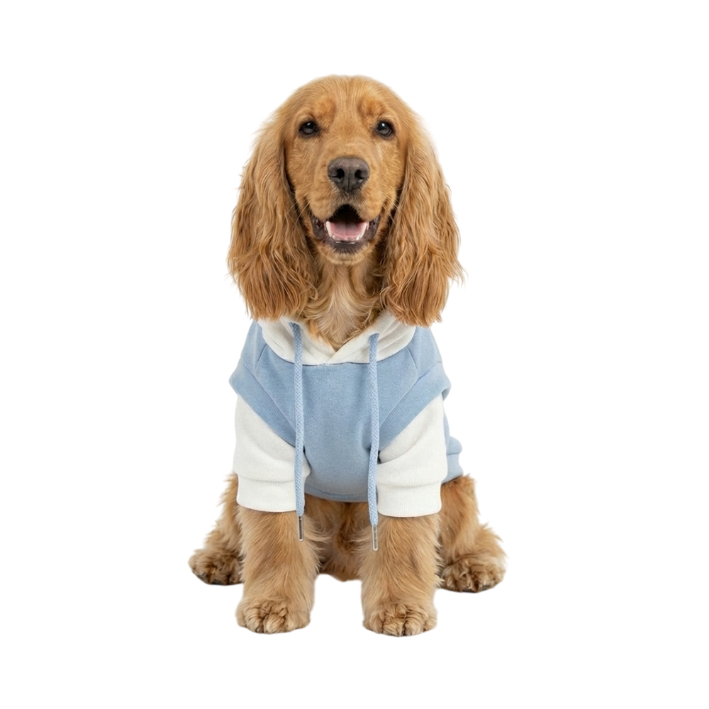 Толстовка для собак Foxie Cute Puppy M (дл.спины 35см, обх.груди 48-52см, обх.шеи 34см) голубая фото