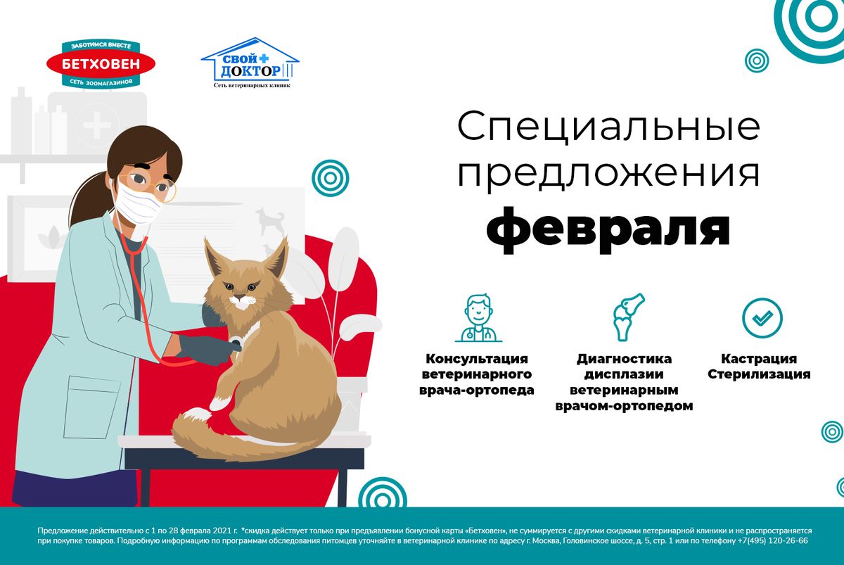Обследование питомца за один день в ветеринарной клинике в ТЦ «Водный»!
