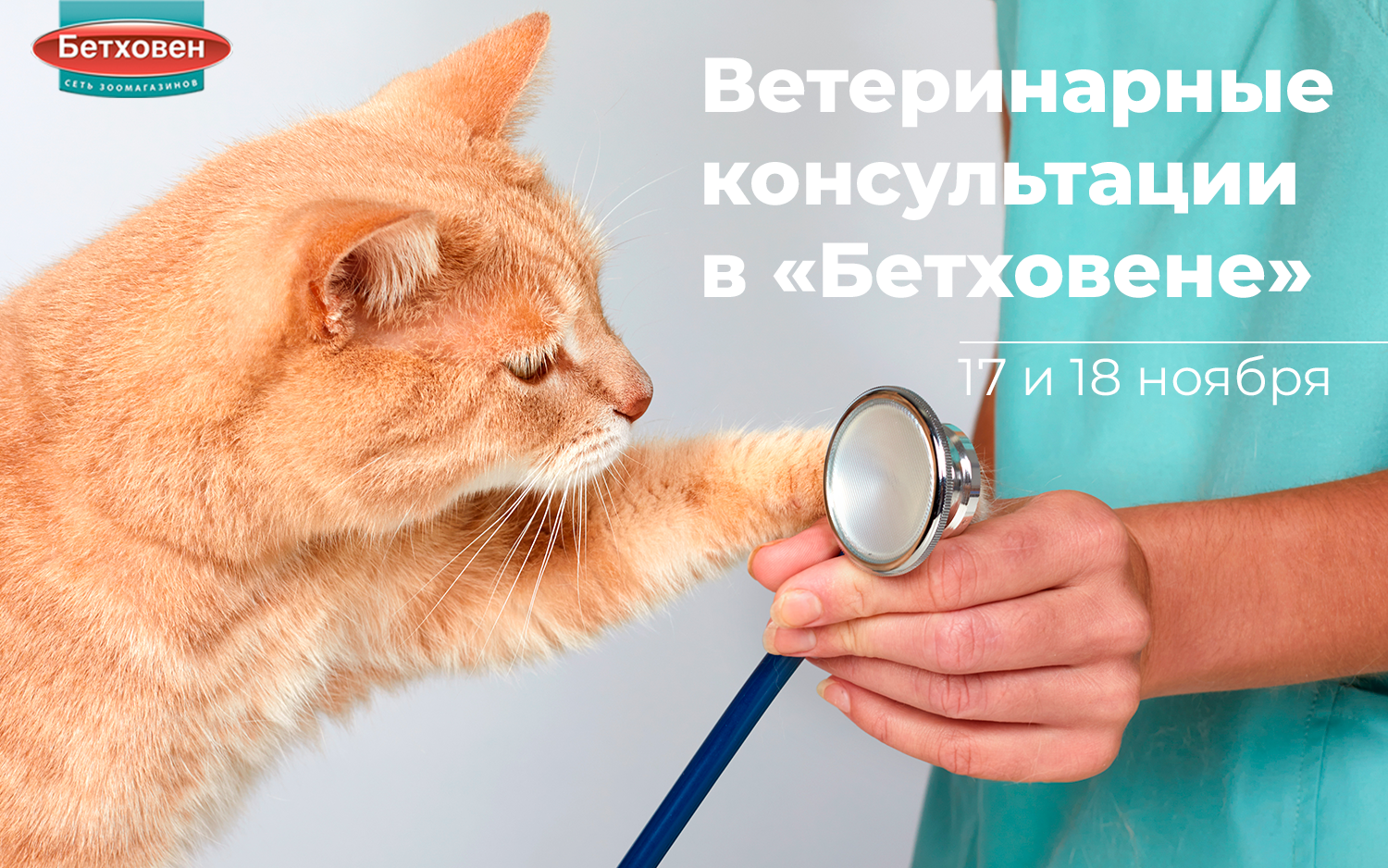 Бесплатные ветеринарные консультации