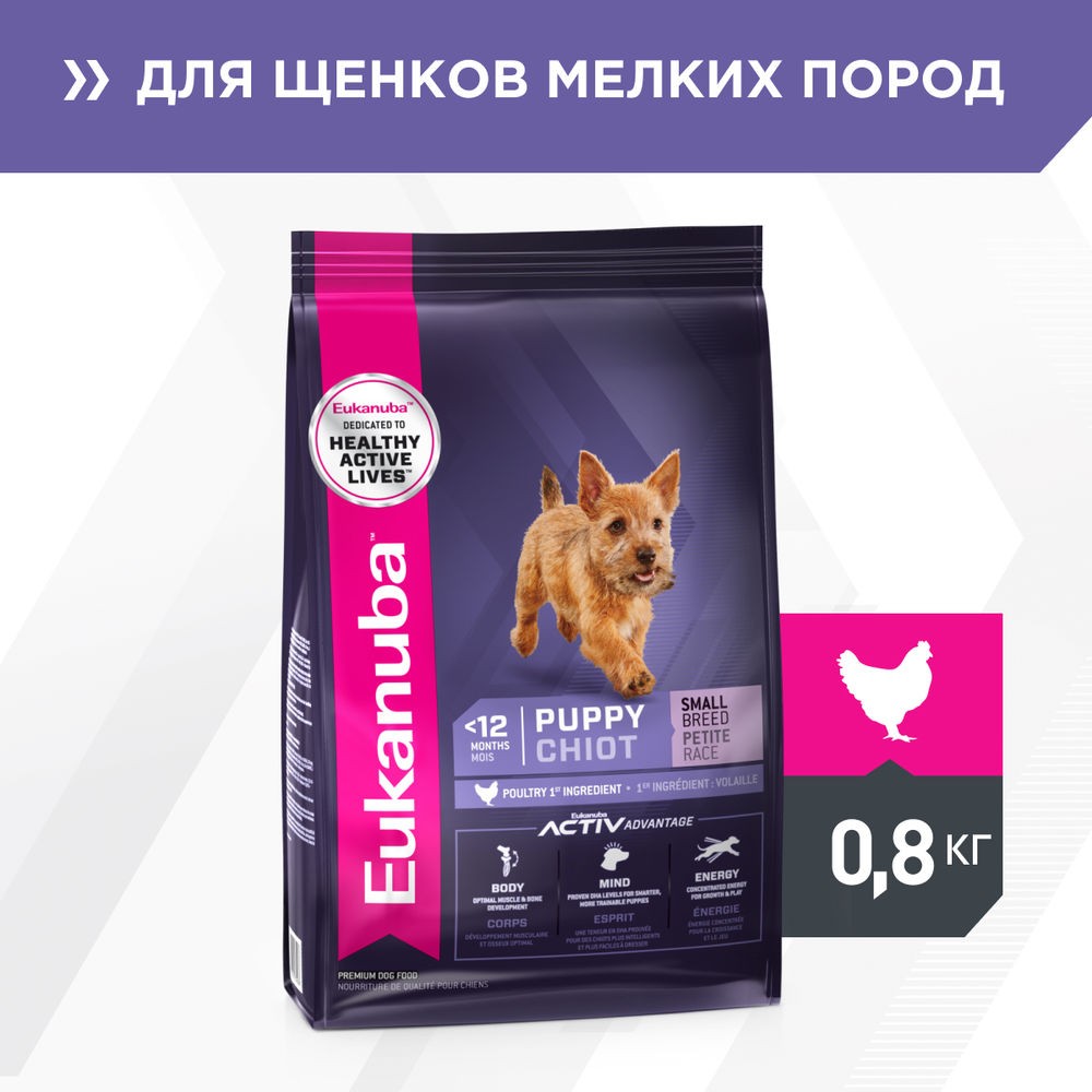 Корм для щенков Eukanuba Puppy Small Breed для мелких пород сух. 800г цена и фото