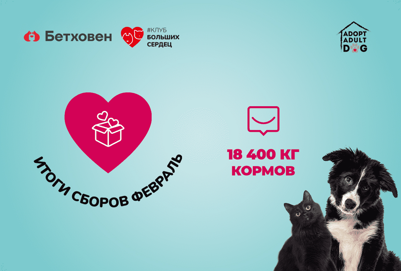 Отчет по благотворительной акции в феврале