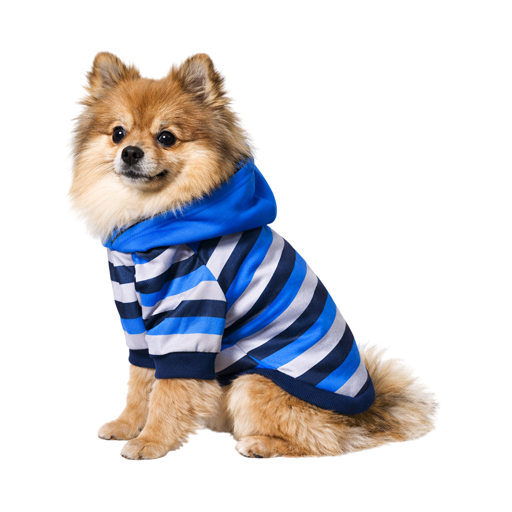 Толстовка для собак Foxie Summer evening голубая р. S (длина спины 30см, обхват груди 47-53см)