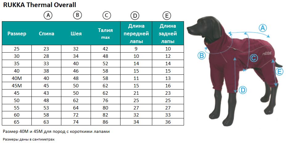 Таблица размеров для собак