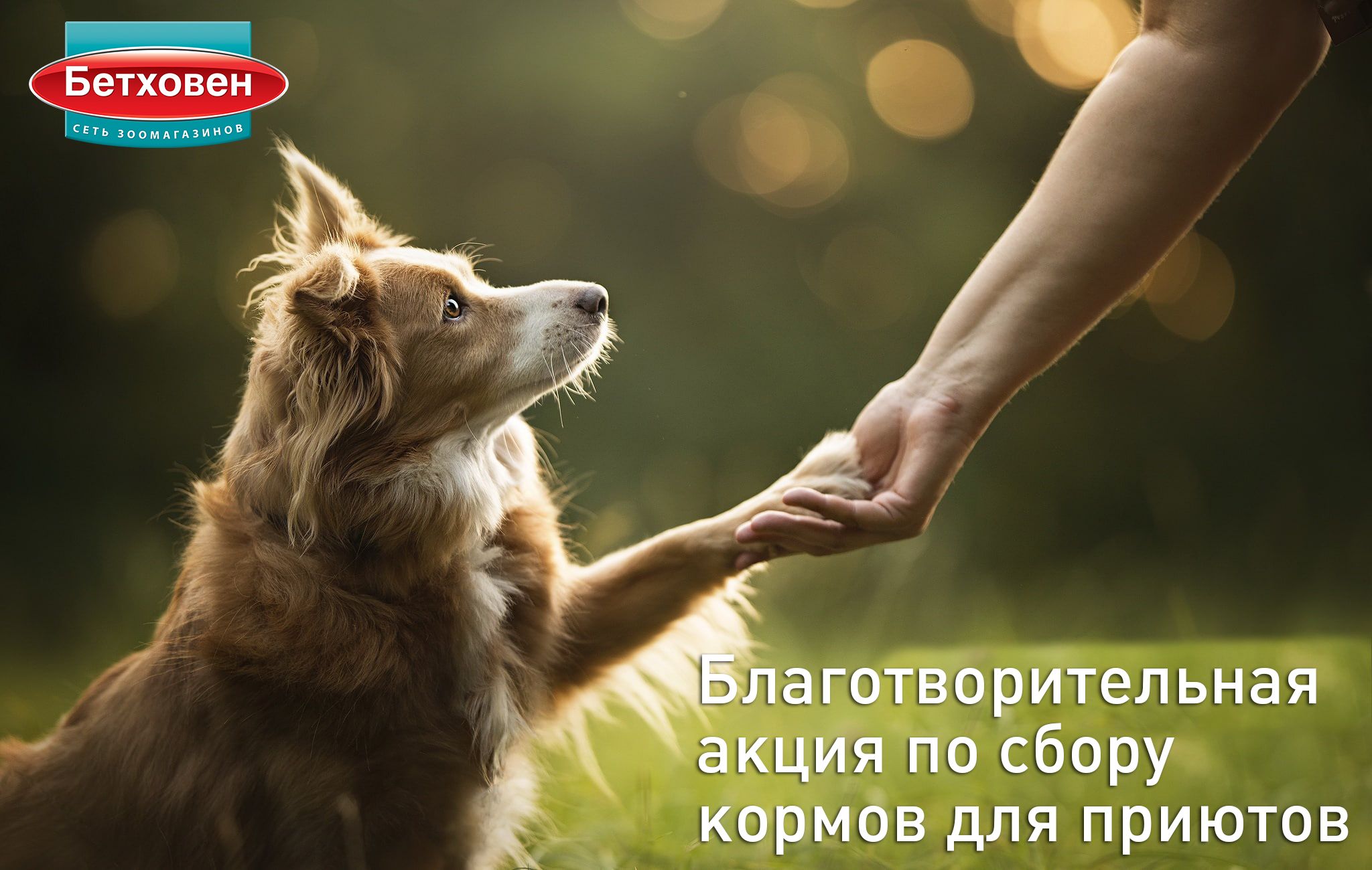 #ДариКормиЛюби!