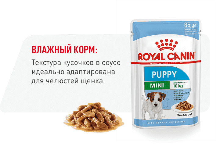 инфо