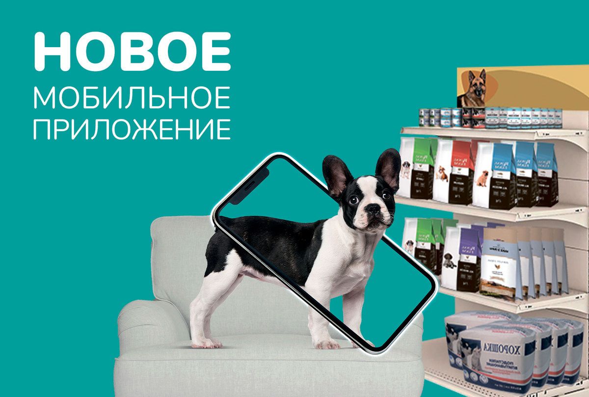 Новое мобильное приложение «Бетховен»