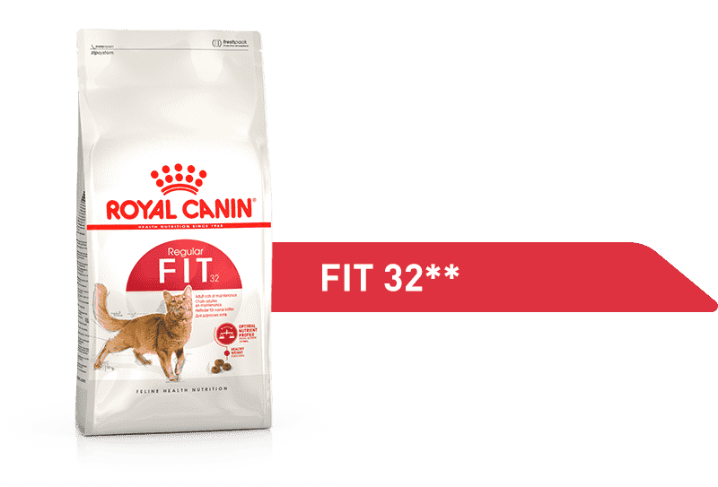 Изображение корма Royal Canin Bengal