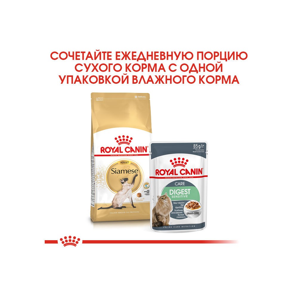 Royal canin hot sale siamese