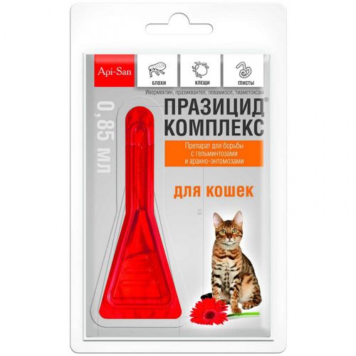 Цестоды У Кошек Фото Цестоды У Кошек Фото