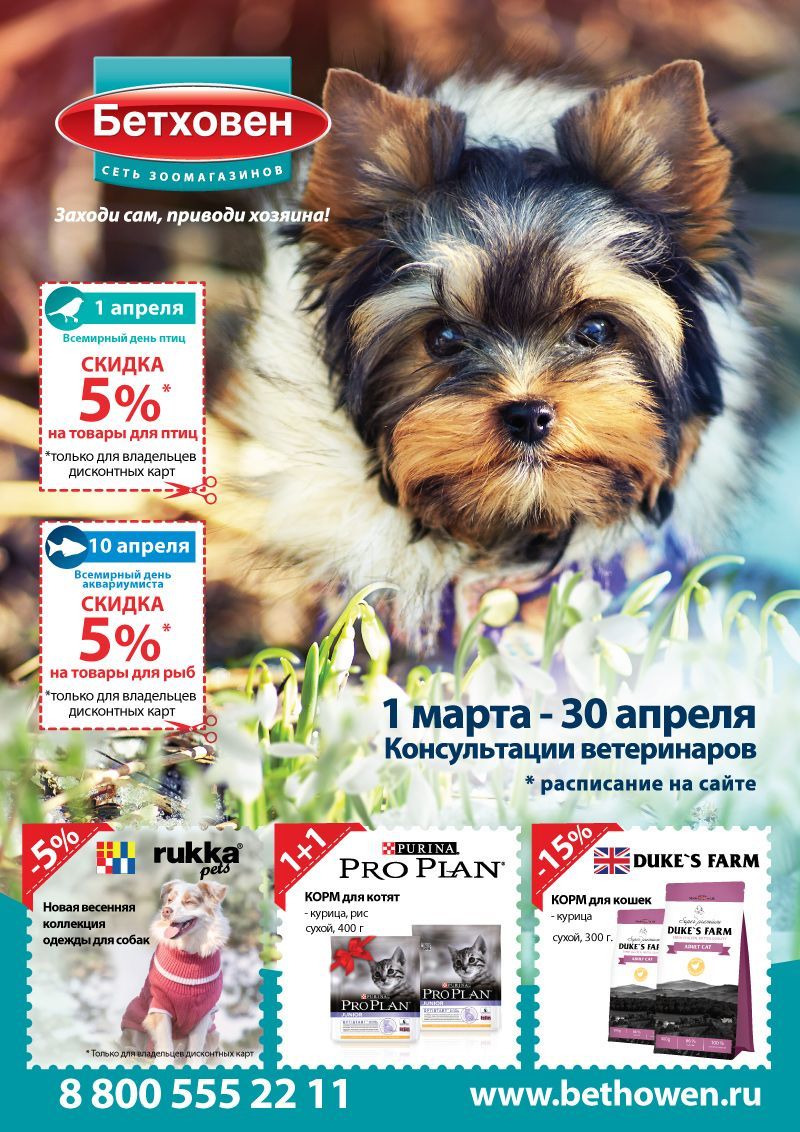 Новая газета "Бетховен"!