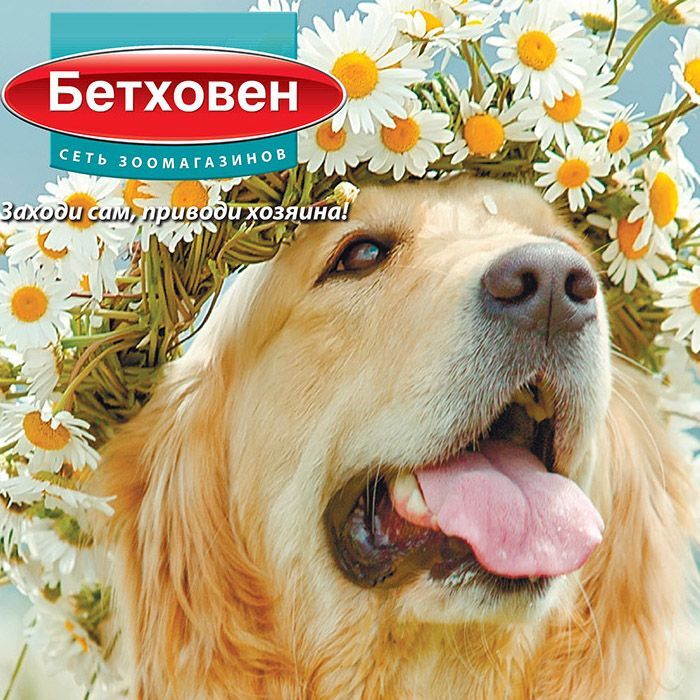 Весенний выпуск газеты зоомагазина "Бетховен"