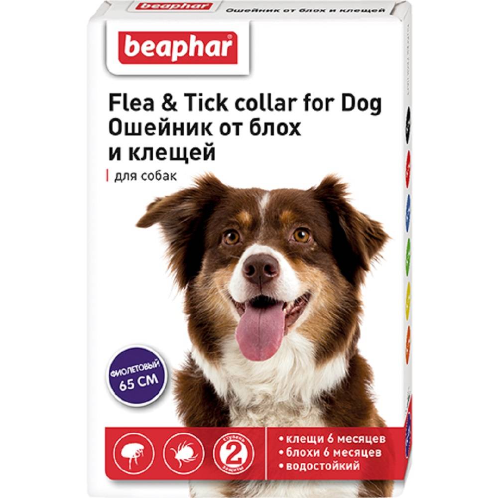 Ошейник для собак Beaphar от блох фиолетовый 65см beaphar beaphar биокапли от паразитов для собак средних пород 3 пипетки 32 г