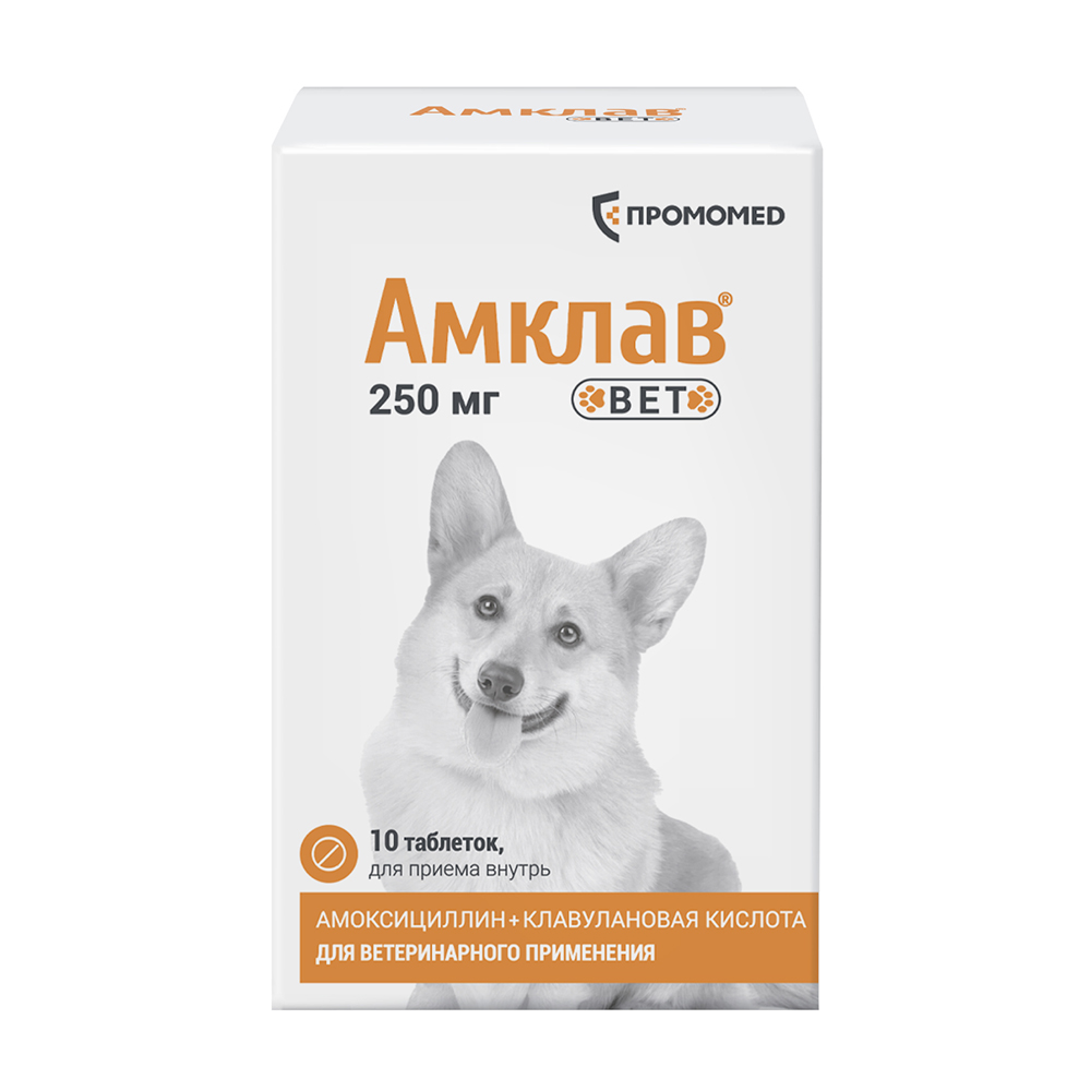 Препарат антибактериальный АМКЛАВ ВЕТ для собак и кошек 250мг 10табл банка рецепт 645₽