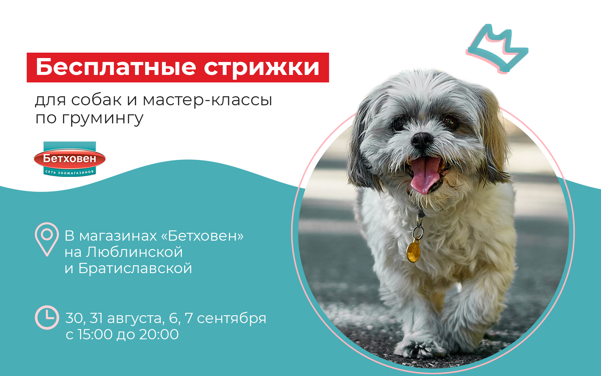 Приглашаем на бесплатные мастер-классы по грумингу