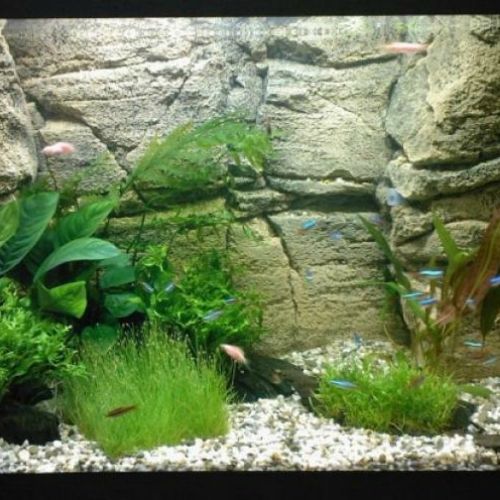 Фон для аквариума Karlie 30см Цена за 10см камничерный 15₽