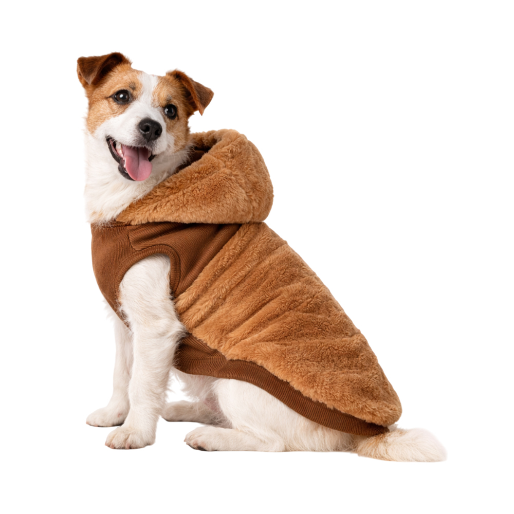 Толстовка для собак Foxie Modern classic коричневая р. M (длина спины 35см, обхват груди 36-40см)