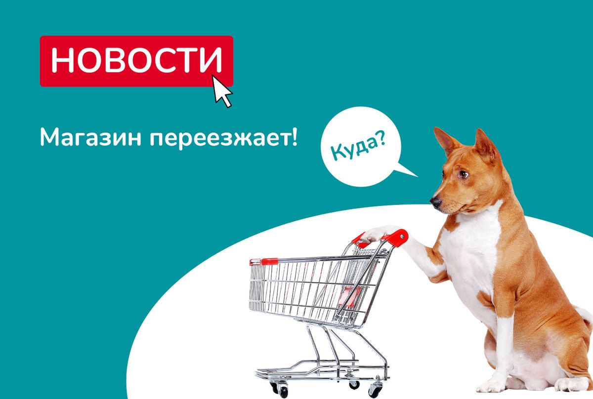 Наш магазин на ул. Фестивальная переезжает!