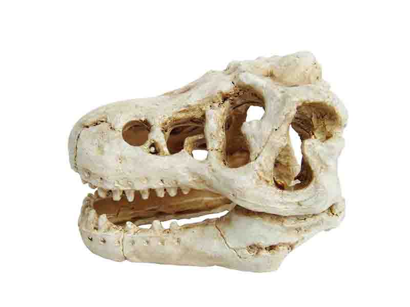 Декор для аквариумов PRIME Череп динозавра 85х6х6см 727₽