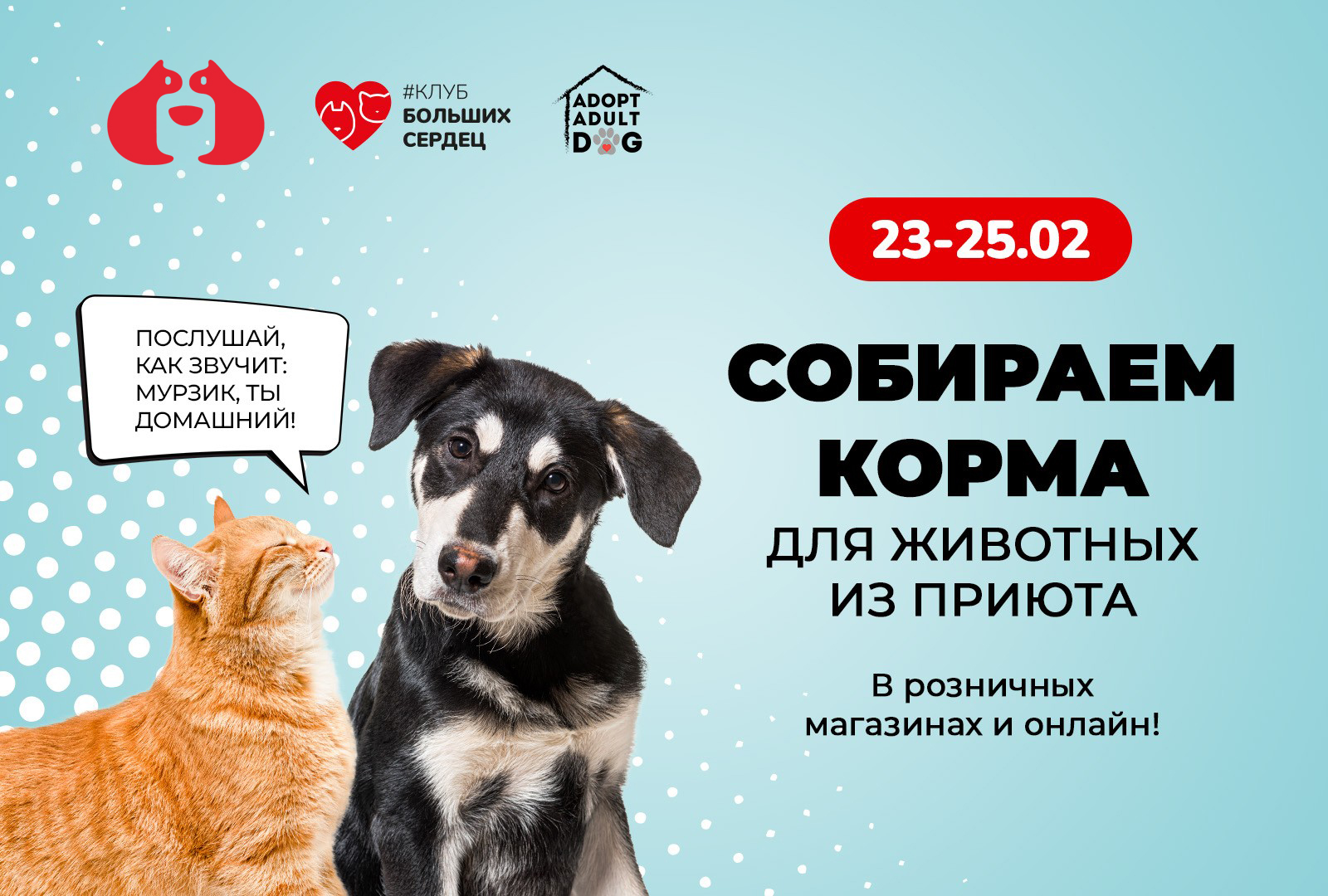 Собираем корма для животных из приюта!