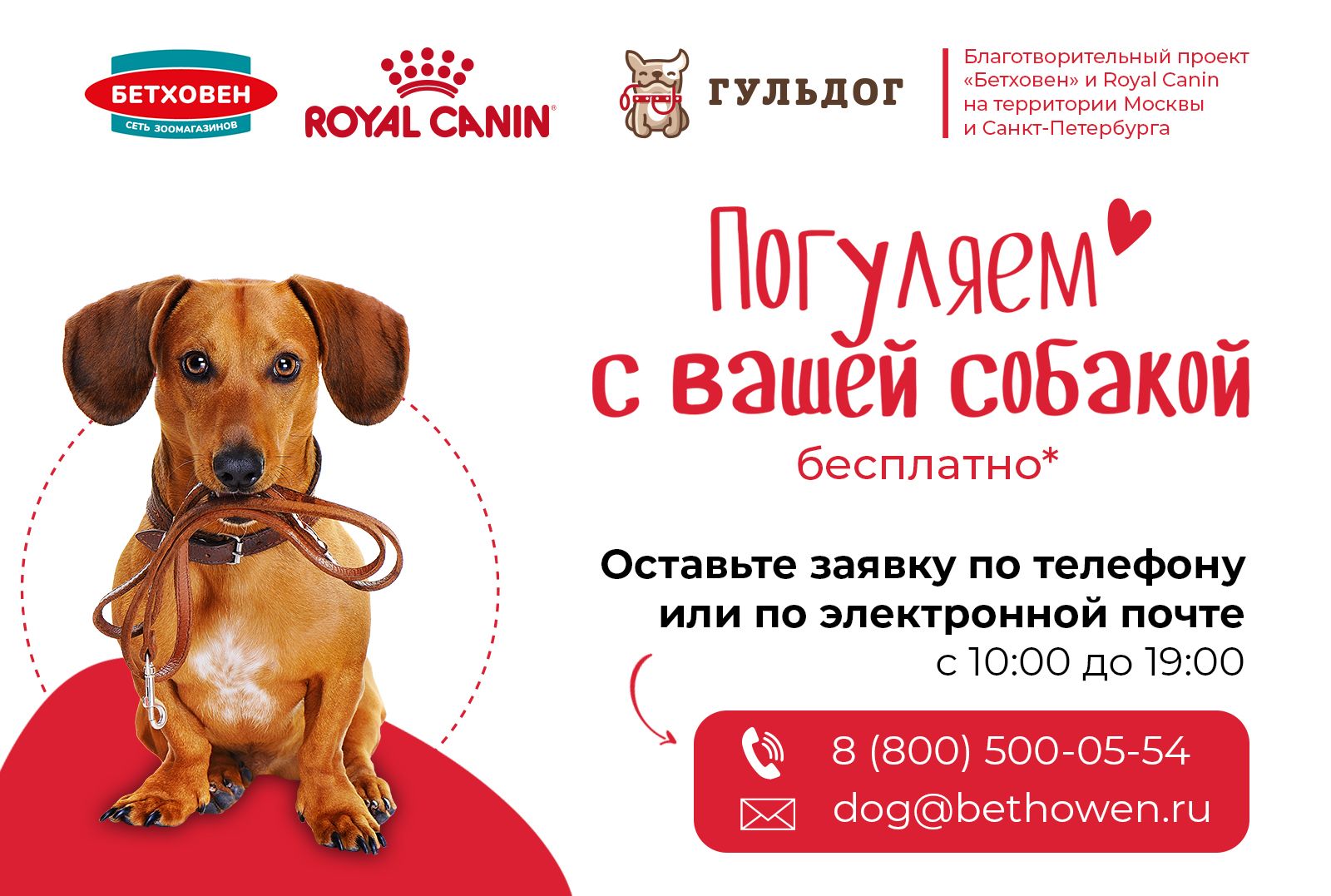 Проект «Погуляем с вашей собакой» возвращается!
