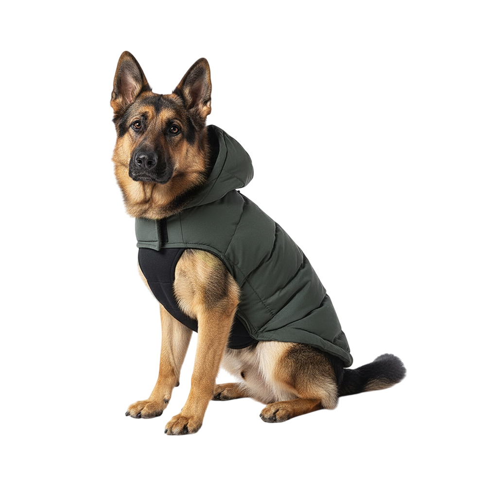 Попона для собак Foxie Frost and sun с козырьком зеленая р XXL длспины 50см обхват груди 62-68см 899₽