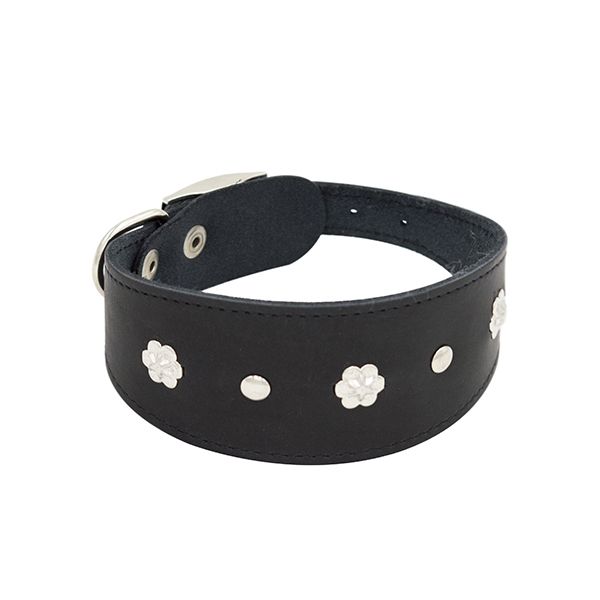 Ошейник для собак ZOOEXPRESS Камбала 1сл 50мм 35см черный