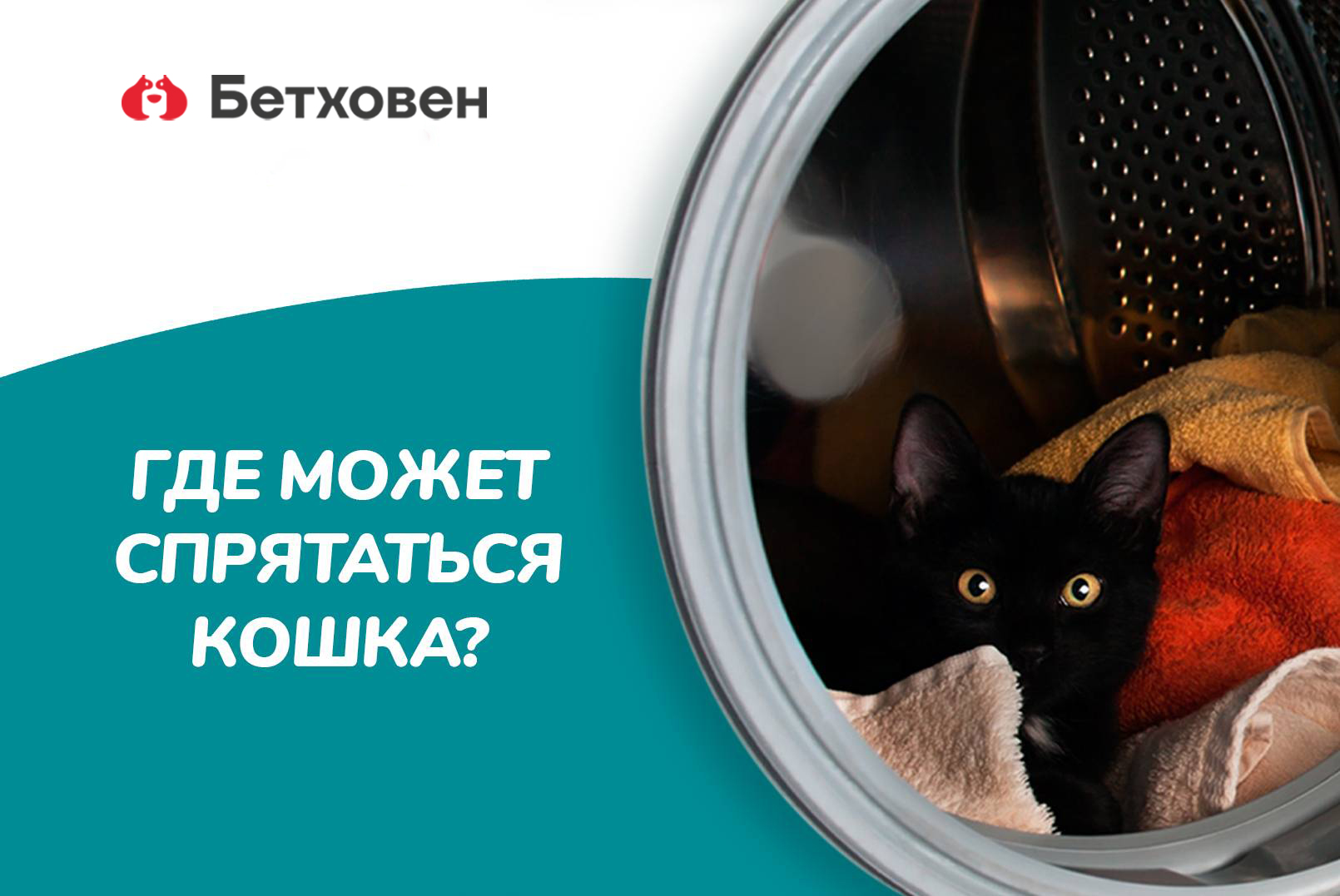 Где может спрятаться кошка?