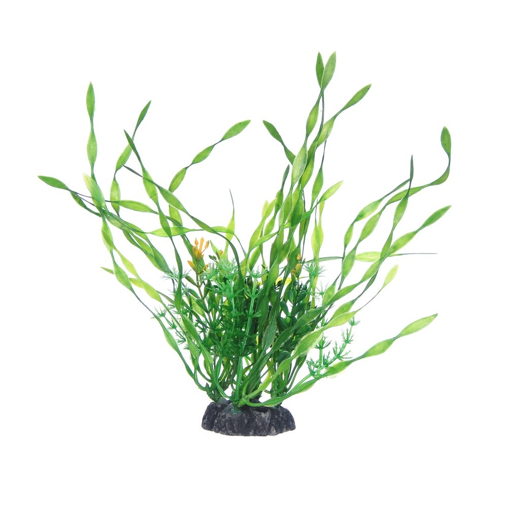 Растение пластиковое NARIBO Валлиснерия 24см цена и фото
