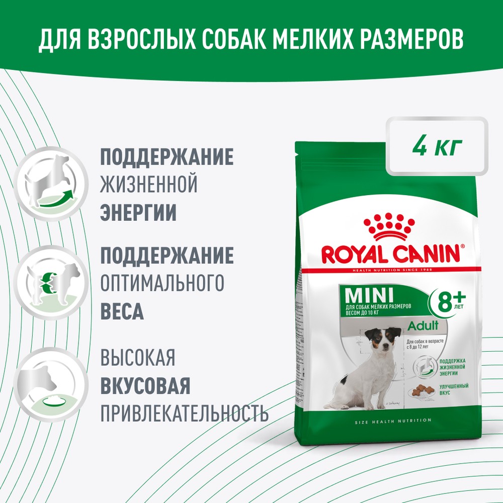 Корм для собак ROYAL CANIN Mini Adult 8+ для мелких пород (до 10кг) старше 8 лет сух. 4кг корм для собак royal canin size maxi adult 5 для крупных пород старше 5 лет сух 4кг