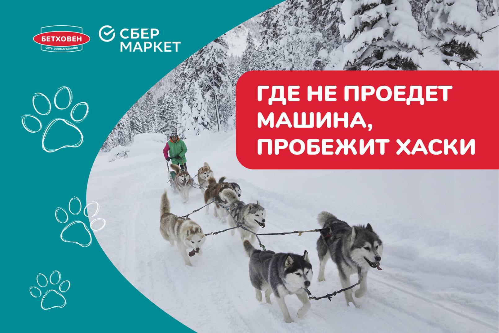 Где не проедет машина, пробежит хаски