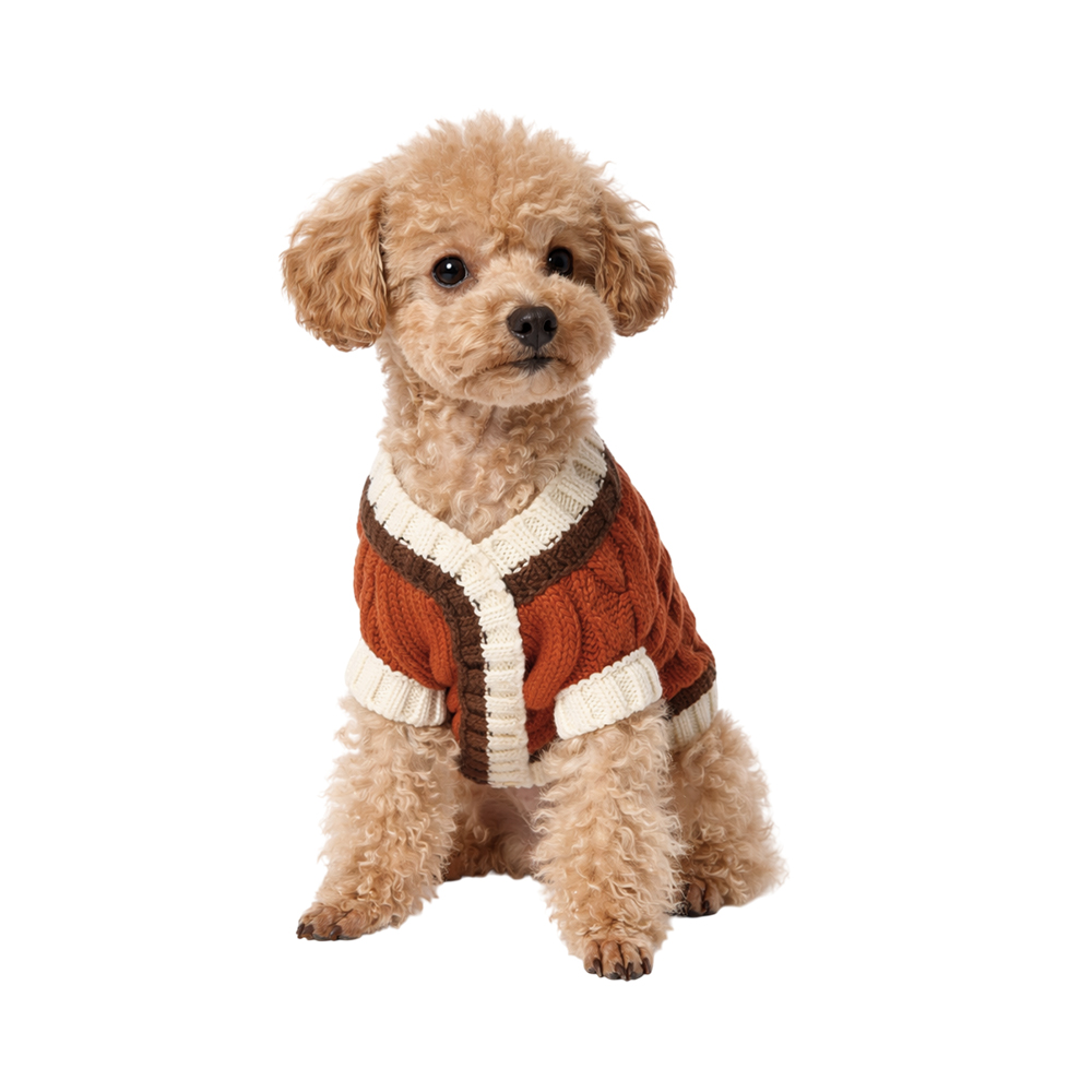 Свитер для собак Foxie Aesthetics рыжий р. S (длина спины 30см, обхват груди 38-45см)