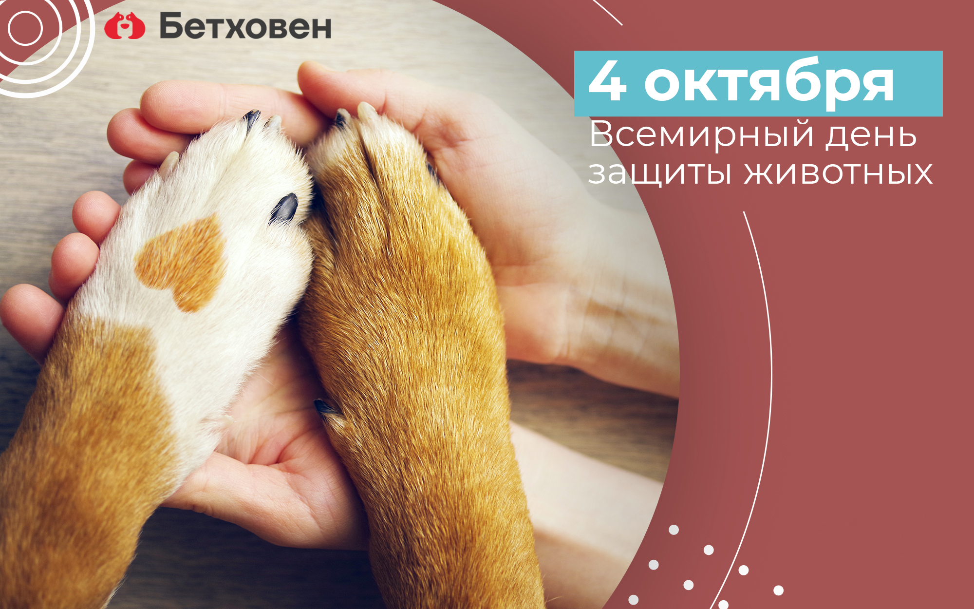 Всемирный день защиты животных 2018