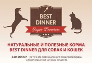 Best Dinner Best Dinner