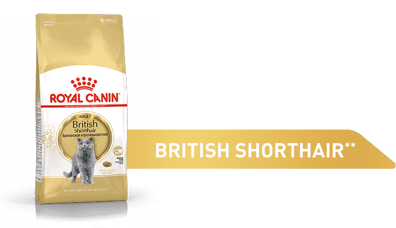 Изображение корма Royal Canin Bengal