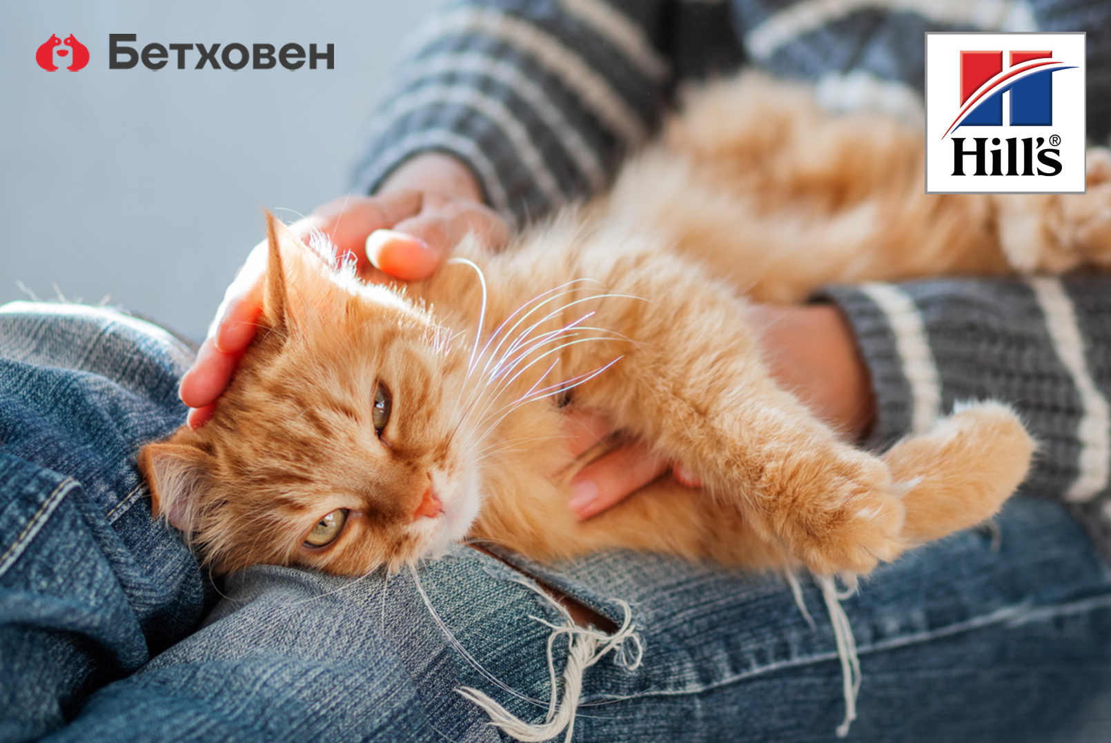 МКБ – что это?